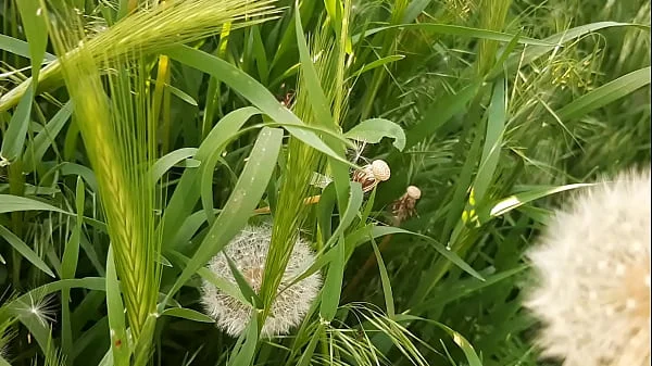 I piss in a public place in nature, and then masturbate my pussy to orgasm - Lesbian Illusion Girls