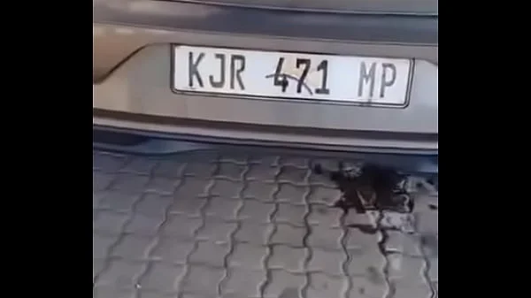 South Africa Polo Driver Enjoys Public Sex