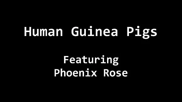 Human Guinea Pig Busty Latina Phoenix Rose Becomes Subject For Experiments By Doctor Tampa At Good Samaritan Health Labs, Full Movie BondageClinic.com